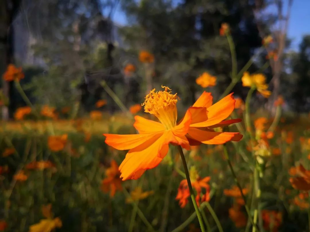 1646802399666973.jpeg 1646802399666973.jpeg