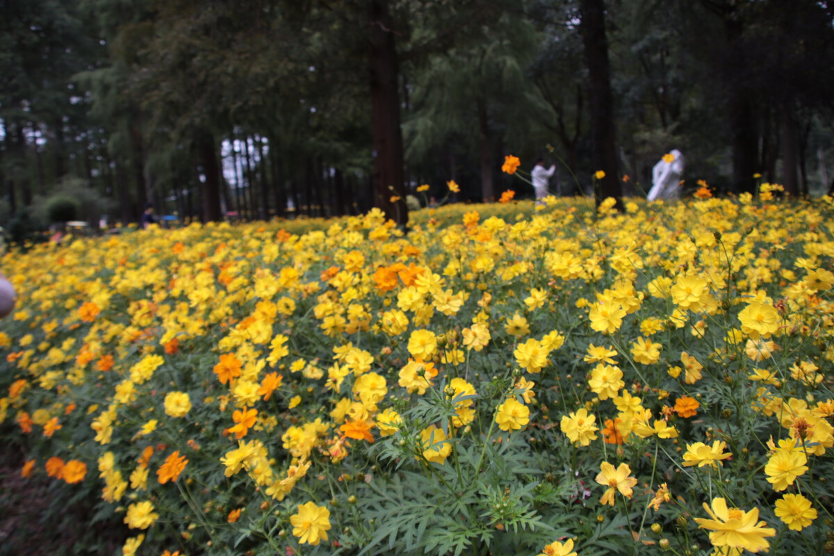 1646802421997850.jpg 1646802421997850.jpg