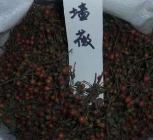 1646809969176333.jpg 1646809969176333.jpg