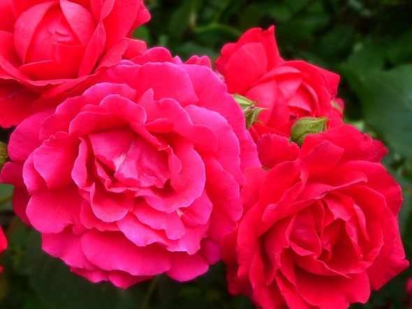 1646810187579132.jpg 1646810187579132.jpg