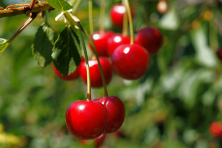 1646816506399848.jpg 1646816506399848.jpg