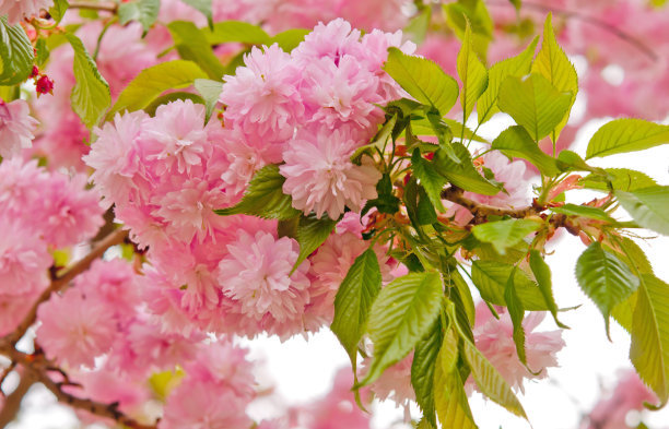 1646823814370929.jpg 1646823814370929.jpg