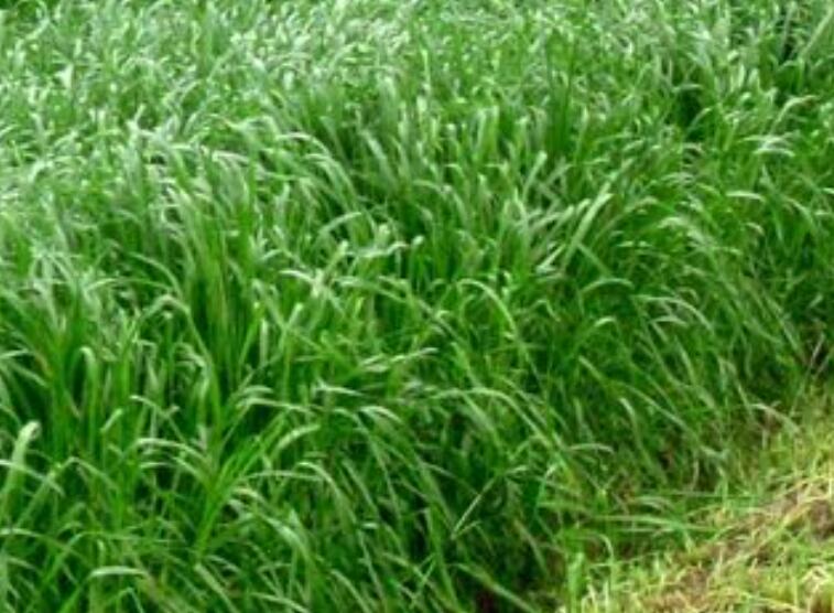 1647182384955096.jpg 1647182384955096.jpg