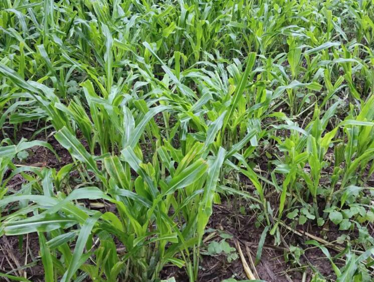 1647315862600879.jpg 3.jpg