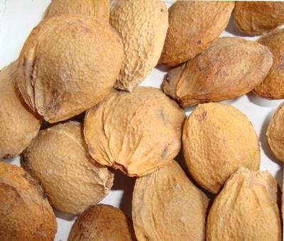 1647512877597895.jpg 1647512877597895.jpg