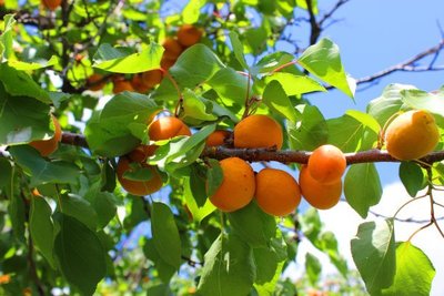 1647512905809774.jpg 1647512905809774.jpg