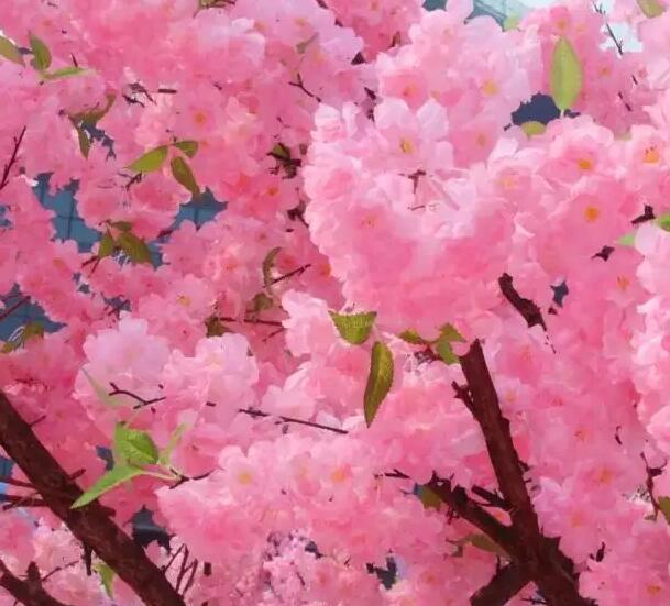 1647670976334770.jpg 1647670976334770.jpg