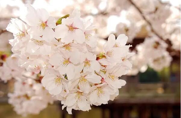 1647670976358015.jpg 1647670976358015.jpg