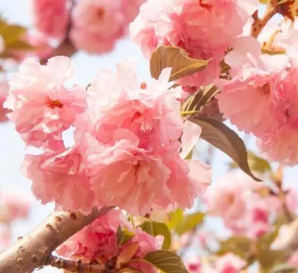 1647670976856220.jpg 1647670976856220.jpg