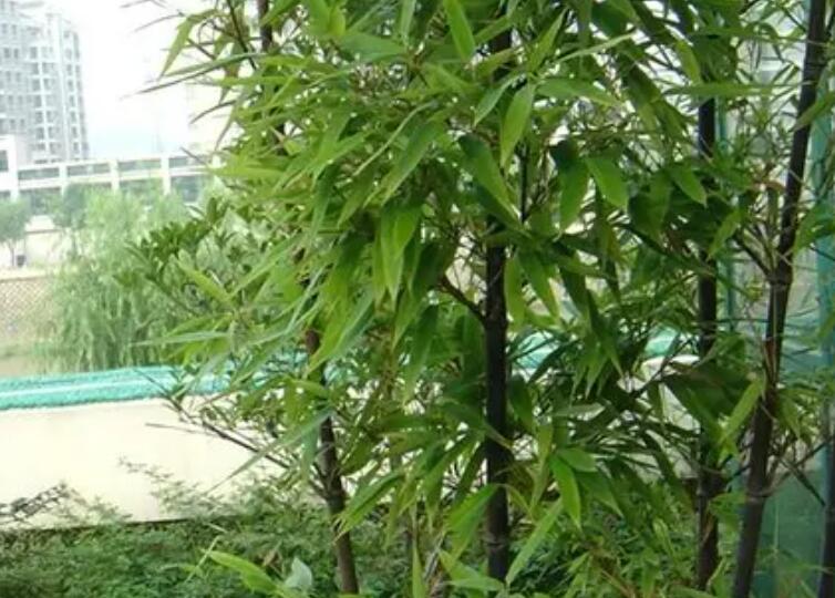 1647856215179202.jpg 1.jpg