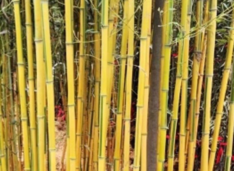 1647862247832960.jpg 1647862247832960.jpg