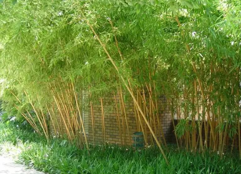 1647961837662682.jpg 1647961837662682.jpg