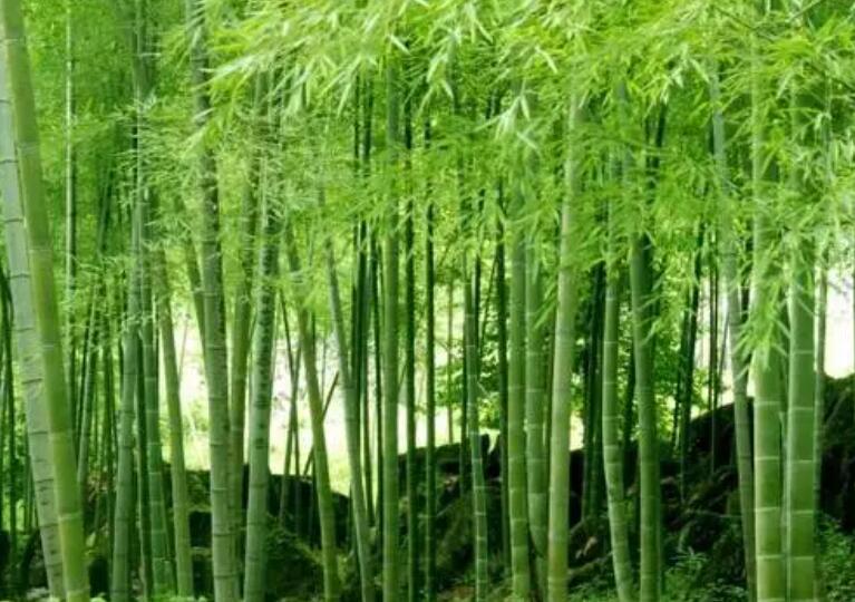 1647961883512433.jpg 1647961883512433.jpg