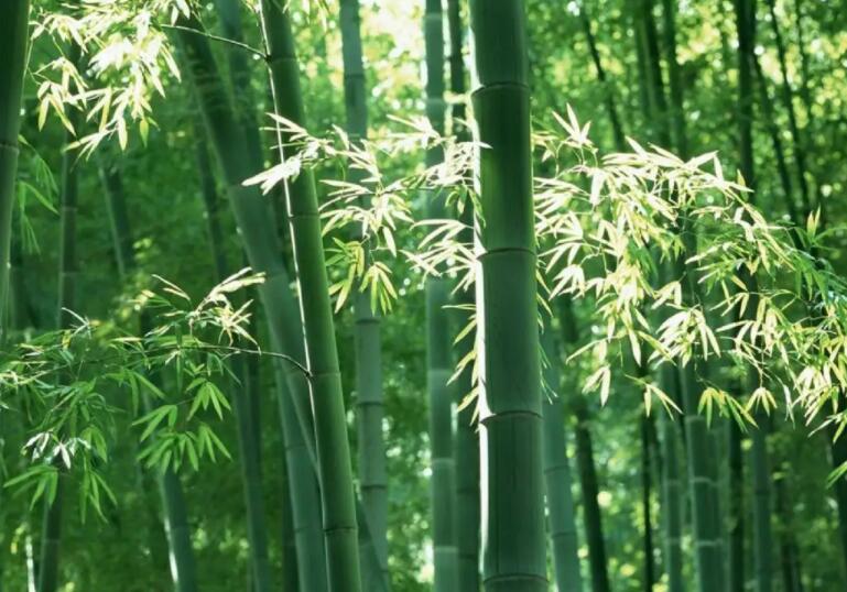 1648003574983995.jpg 1.jpg