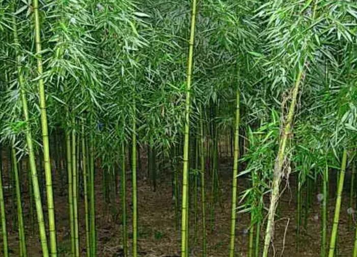 1648005071884644.jpg 1.jpg