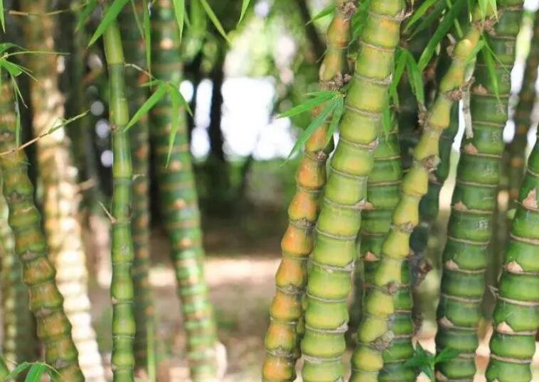 1648005081211433.jpg 2.jpg