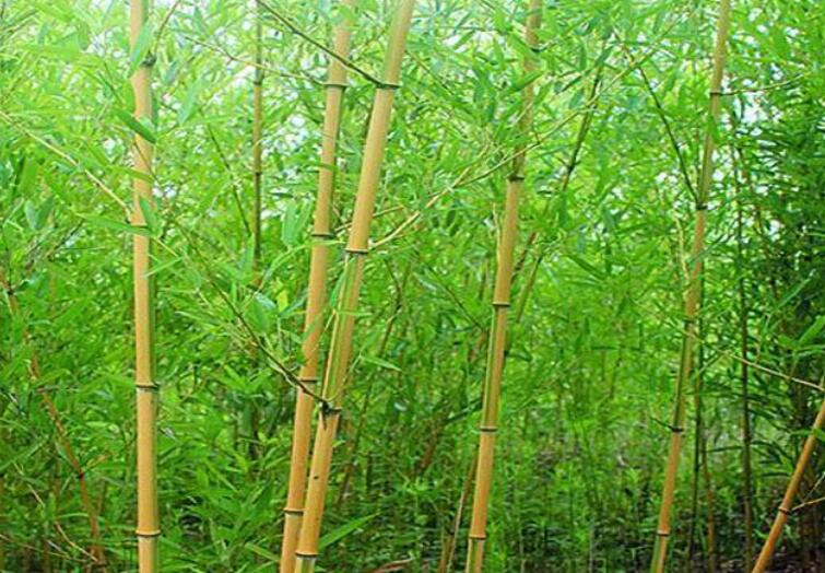 1648005095589654.jpg 3.jpg