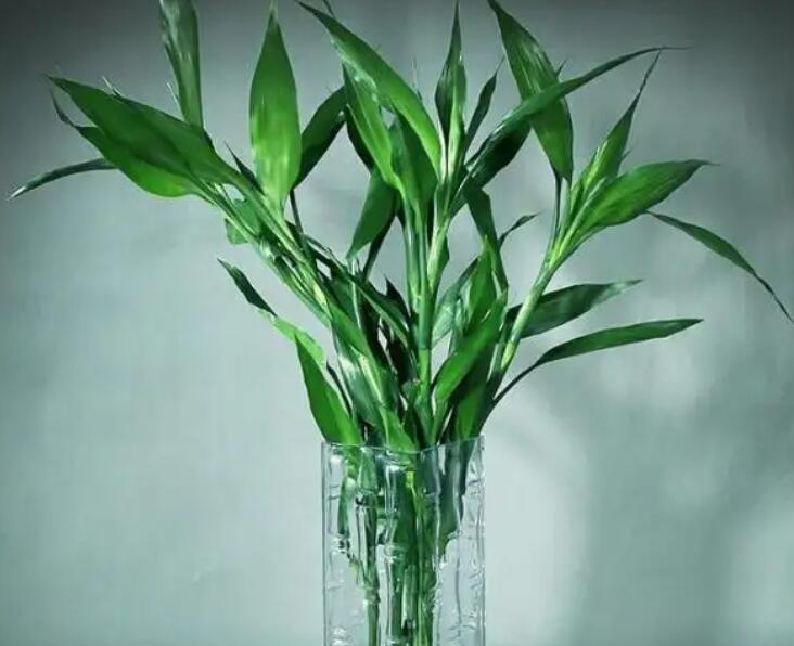 1648006450735826.jpg 1.jpg