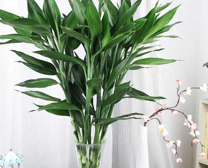 1648006459941213.jpg 2.jpg