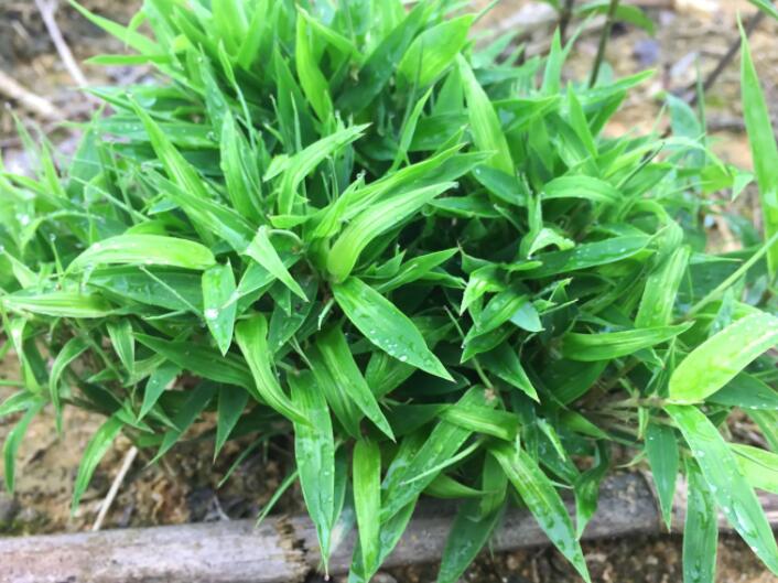 1648006471246787.jpg 3.jpg