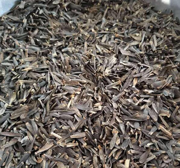 1648108847499807.jpg 1648108847499807.jpg