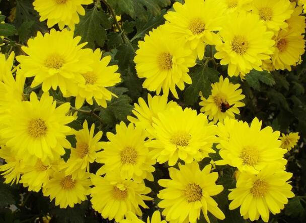 1648113904329519.jpg 1648113904329519.jpg