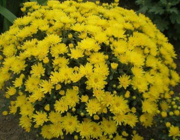 1648113904867570.jpg 1648113904867570.jpg