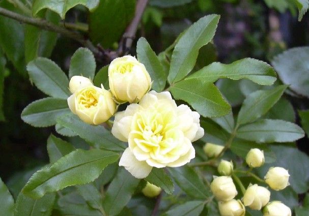 1648121032421661.jpg 1648121032421661.jpg