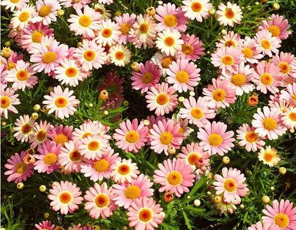 1648181748173728.jpg 1648181748173728.jpg