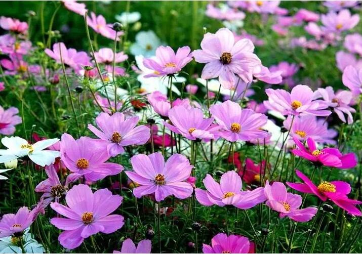 1648181748415998.jpg 1648181748415998.jpg