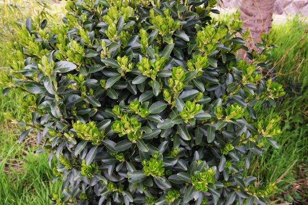 1648204669497847.jpg fa17c372364862beea25cb145ac61a14_t010bd6cf5d26fc8dc5.jpg