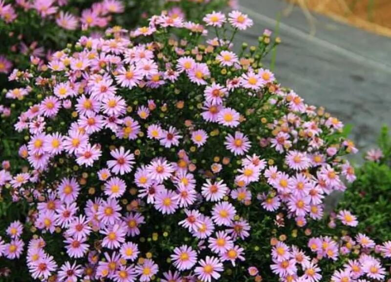 1648269430869837.jpg 1648269430869837.jpg