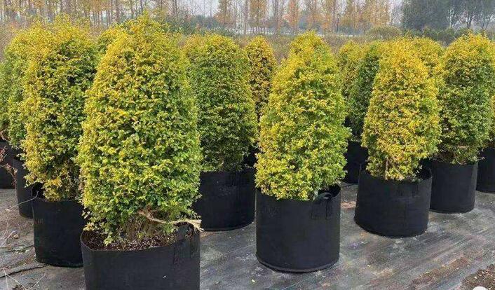 1648625878590492.jpg 1648625878590492.jpg