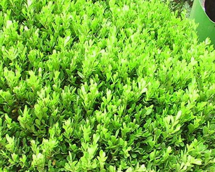 1648626253314798.jpg 1648626253314798.jpg