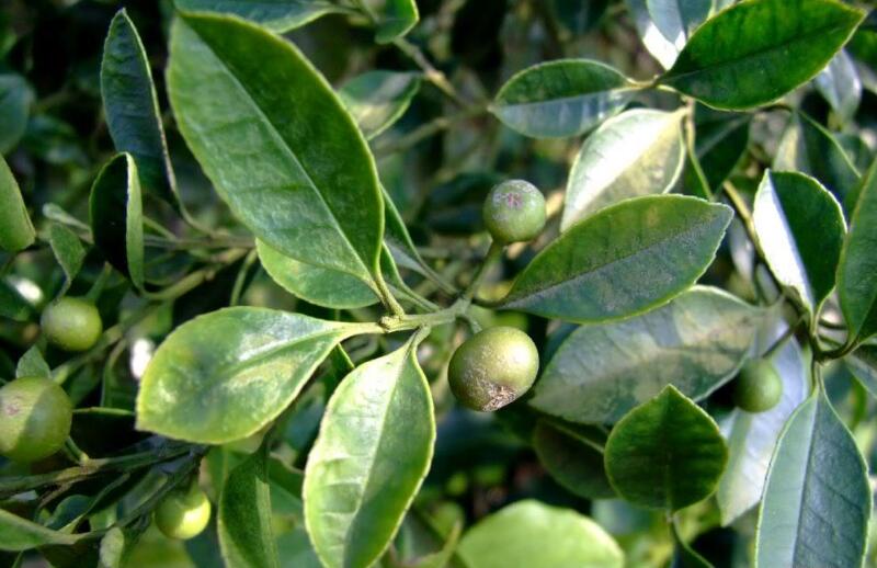 1648626410748312.jpg 1648626410748312.jpg