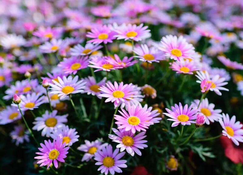 1649294207899178.jpg 1649294207899178.jpg