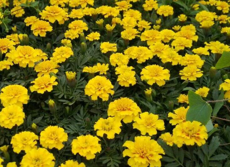 1649417608529210.jpg 2.jpg