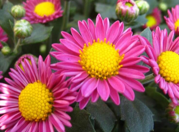 1649422797141096.jpg 2.jpg