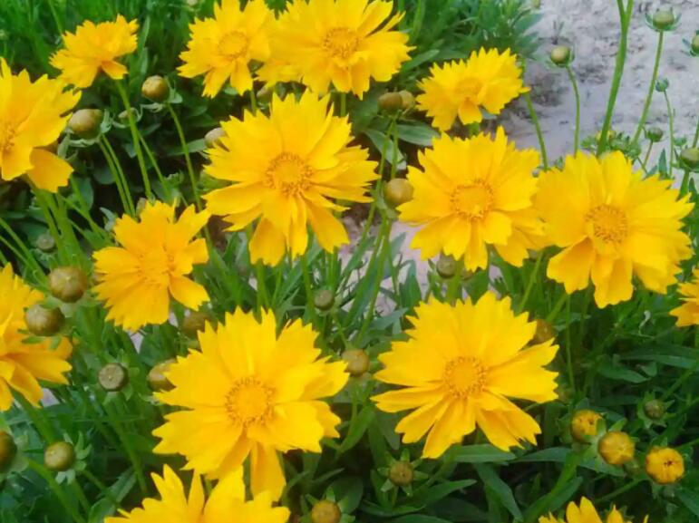 1649423753507670.jpg 2.jpg