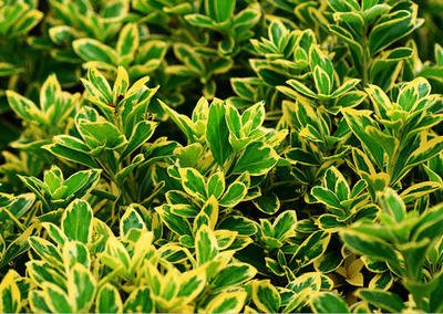 1649585214536151.jpg 1649585214536151.jpg