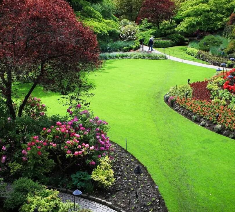 1650260955543044.jpg 1650260955543044.jpg