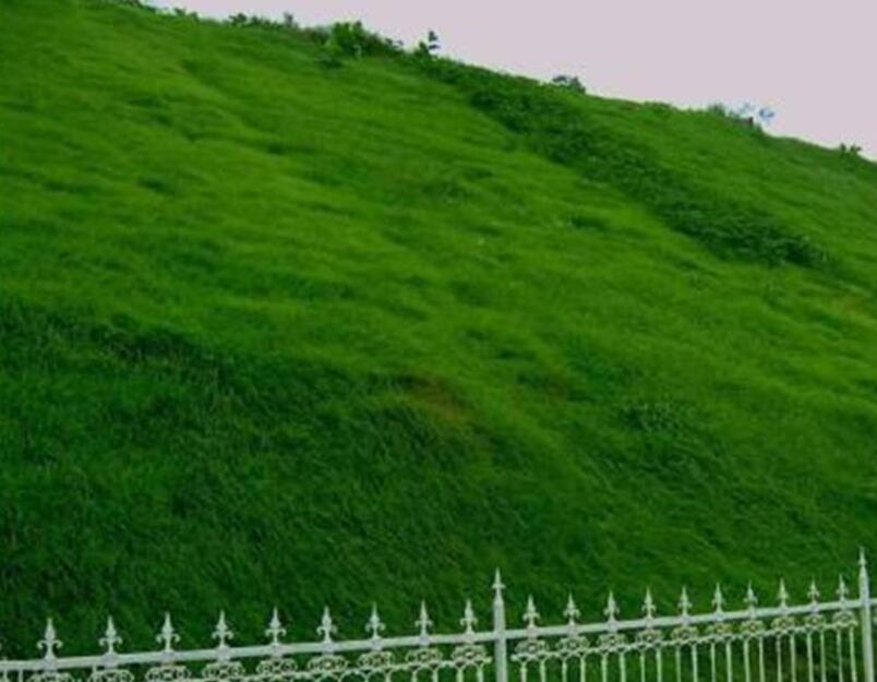 1650341087121649.jpg 1650341087121649.jpg