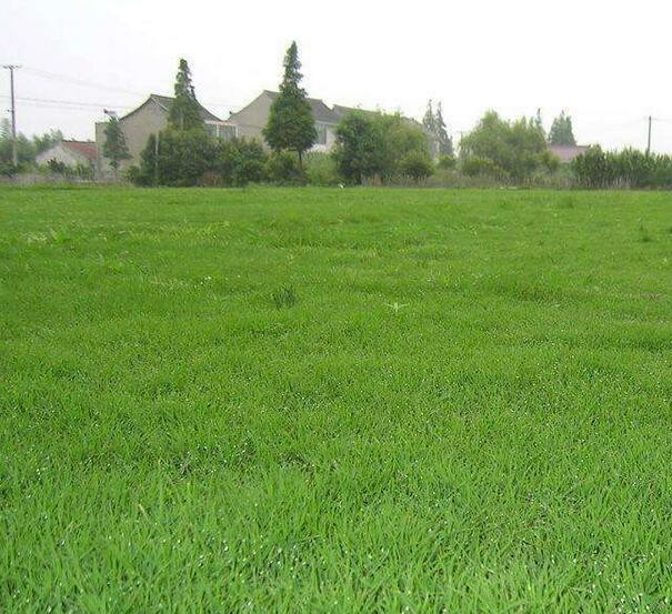 1650341442319929.jpg 1650341442319929.jpg