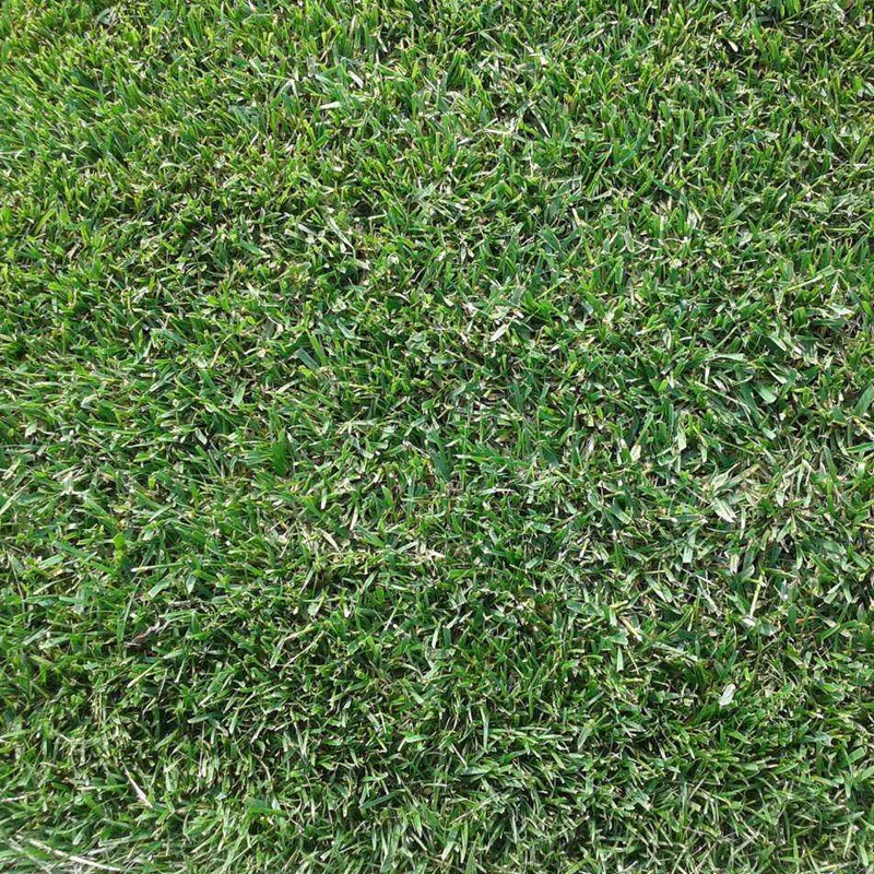 1650351058934868.jpg 1650351058934868.jpg