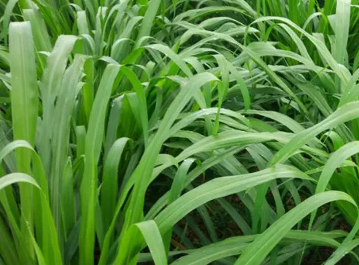 1650381058277131.jpg 1.jpg