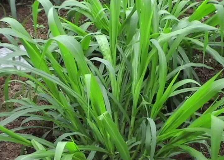 1650886892348232.jpg 1.jpg