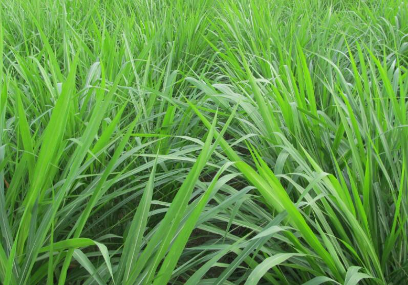 1651586913968700.jpg 2.jpg