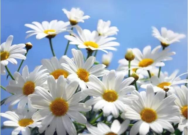 1651760932494714.jpg 1651760932494714.jpg