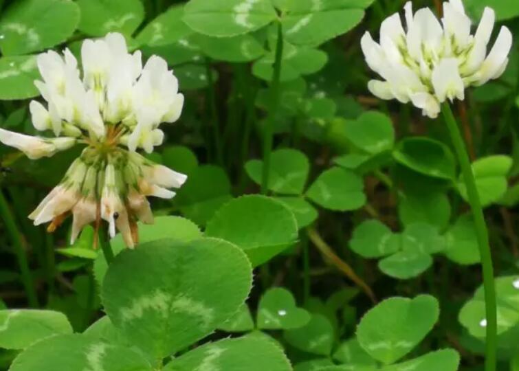 1652190461708798.jpg 1652190461708798.jpg