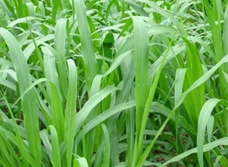 1652190885752208.jpg 1652190885752208.jpg